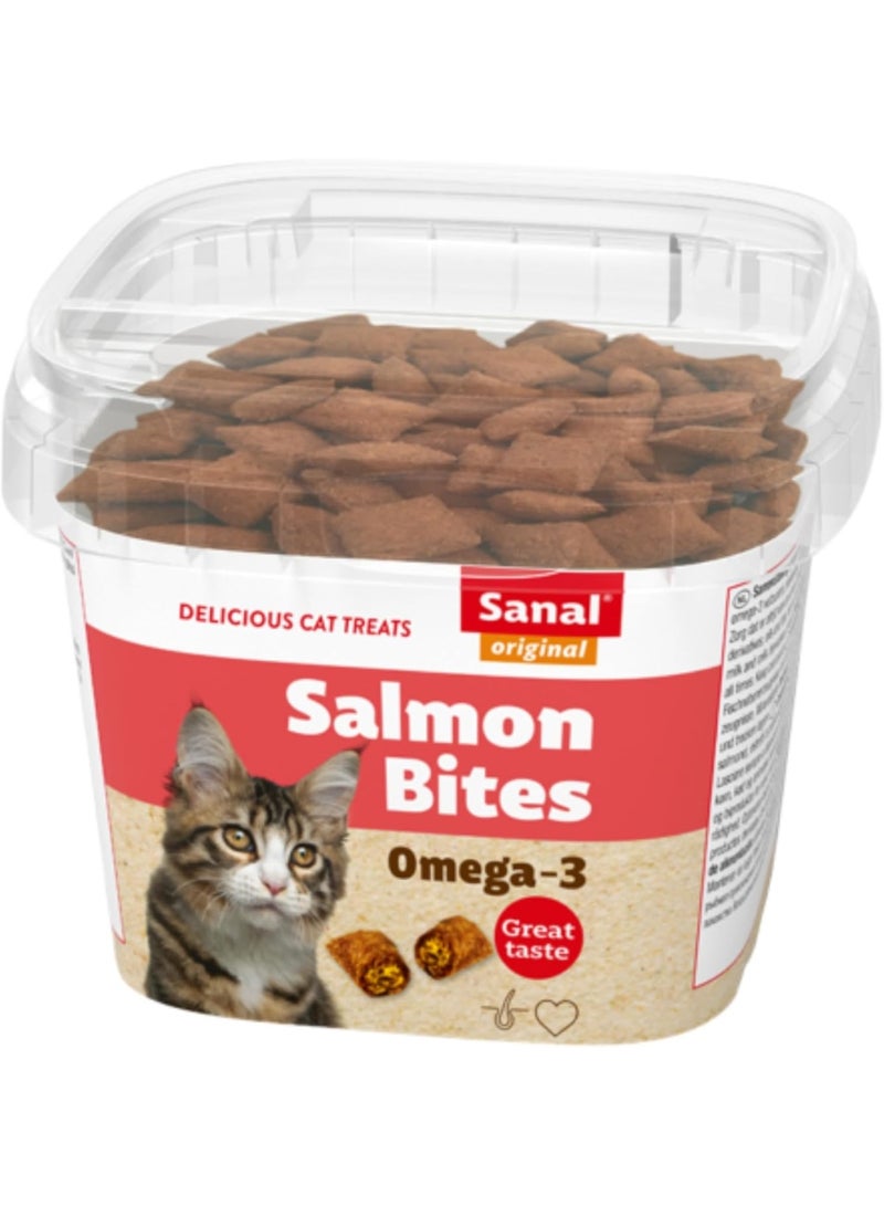 Sanal Salmon Flavor Cat Treats 75g